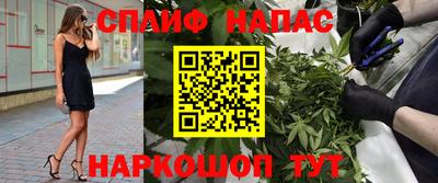 дмт Нальчик