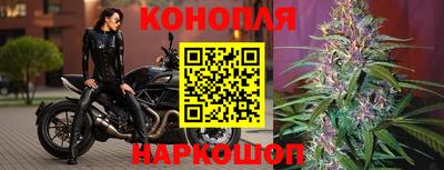 дмт Нальчик
