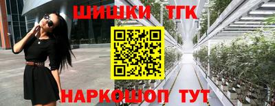 дмт Нальчик