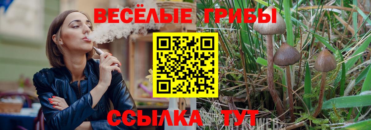 Галлюциногенные грибы GOLDEN TEACHER  Вход с VPN  Александров 