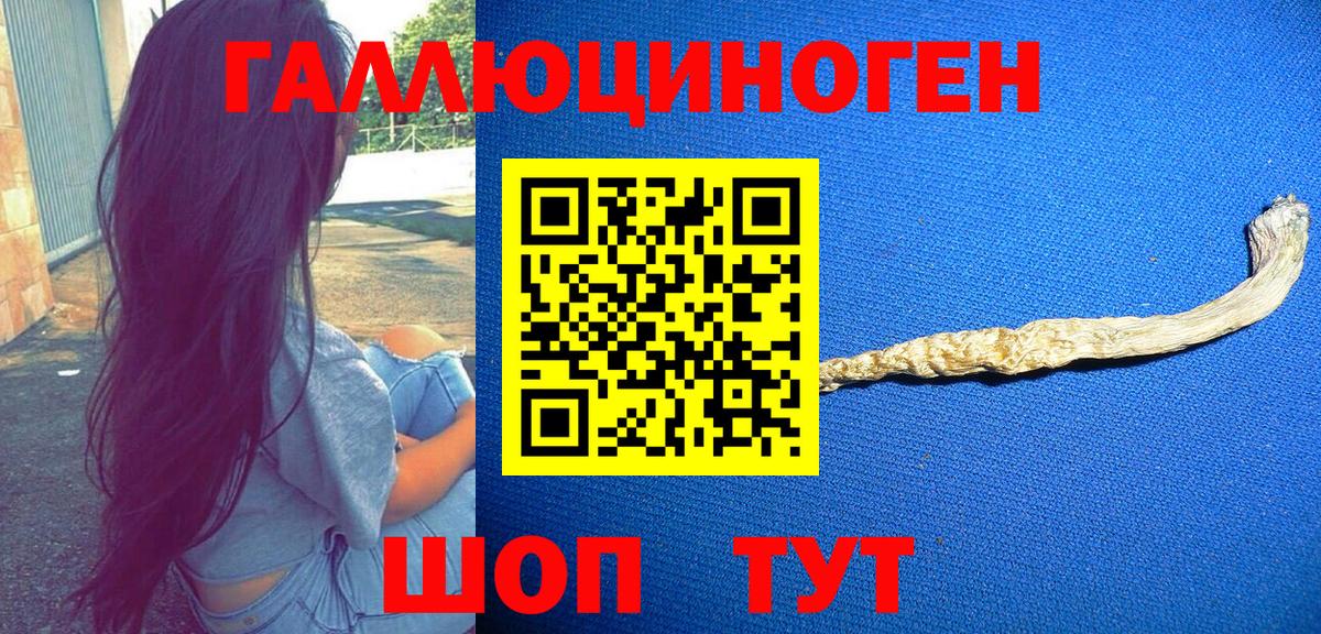 Галлюциногенные грибы ЛСД Александров