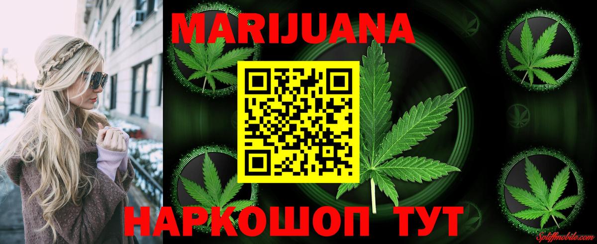 Александров  Канабис ГИДРОПОН  МАРИХУАНА White Widow  Конопля семена  Вход с VPN  Марихуана планчик 